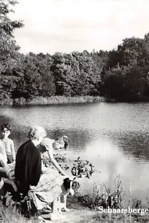 Szybka dostawa Schaarsbergen Vijver Warnsborn Arnhem HC28687