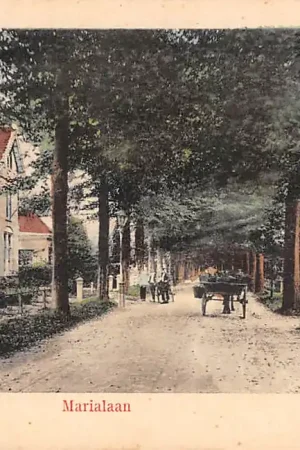 Apeldoorn Marialaan rond de eeuwwisseling HC30282 Oferta