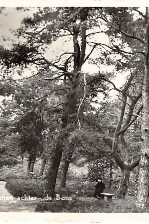 Promocja Bennekom Oude Dennen achter De Born 1958 Veluwe HC29546