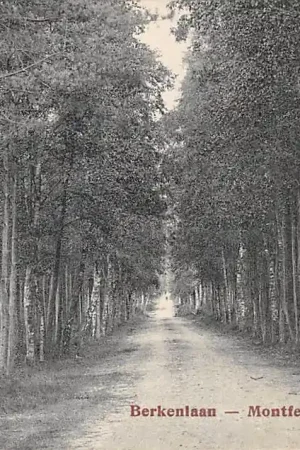 Rabat Zeddam Berkenlaan Montferland 1913 HC28017