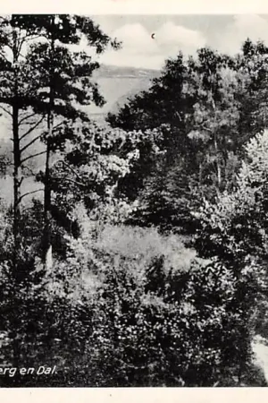 Berg en Dal Bij de Duivelsberg 1939 Nijmegen HC28588 Promocja