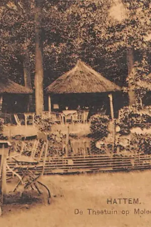 Hattem De Theetuin op Molecaten 1927 Veluwe Nauta HC28524 Bezpieczna płatność