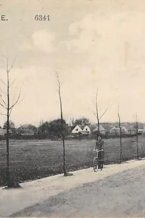 Ede Groet uitNauta 6341 HC28478 Premium