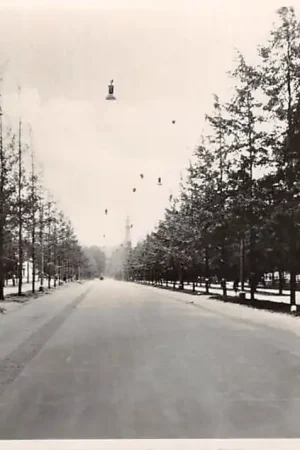 Wysoka jakość Apeldoorn Loolaan 1939 HC28331