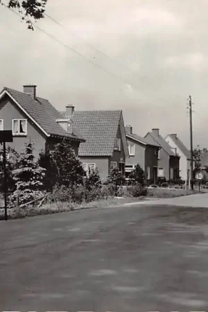 Stroe Wolweg Veluwe Barneveld 1963 HC27369 Premium