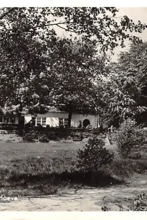 Bennekom Panorama-Hoeve 1961 Veluwe HC27306 Oryginalny