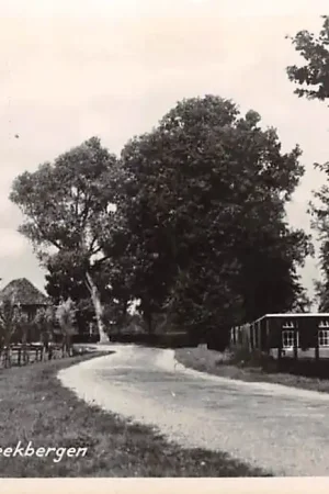 Beekbergen Tullekensbocht 1952 Apeldoorn Veluwe HC27695 Darmowa dostawa