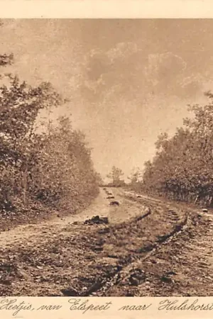 Elspeet Aan de Heetjes van Elspeet naar Hulshorst Veluwe HC27683 Zamów teraz