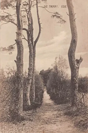 Ede De Traa 1927 Veluwe HC27652 Nowość