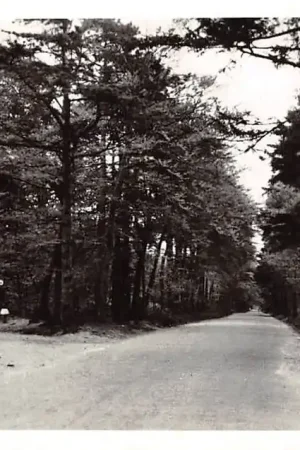 Szybka dostawa Putten Gardenseweg 1957 Veluwe HC27615