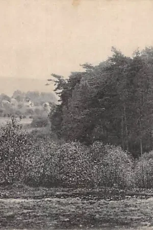 De Steeg Groene Bedstee 1915 HC27614 Oferta