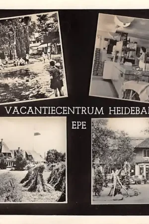 Epe Vacantiecentrum Heidebad Veluwe 1959 HC26944 Najlepsza cena