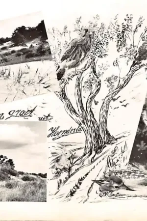 Autentyczny Hoenderloo Een groet uit 1965 HC26934