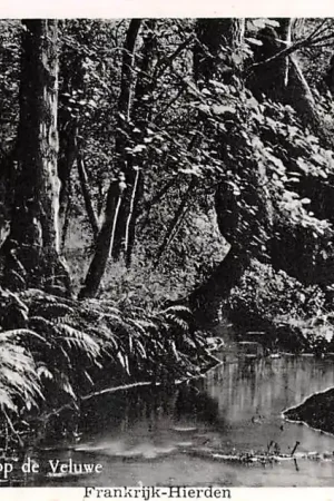 Hierden \\ Oferta limitowana