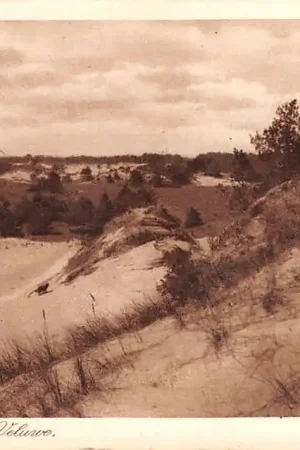 Elspeet In de duinen op de Veluwe HC26290 Oferta
