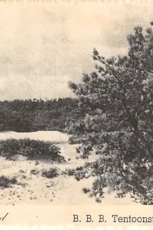 Apeldoorn B.B.B. tentoonstelling 1948 Veluwe Mooi Nederland HC26153 Zwrot pieniędzy