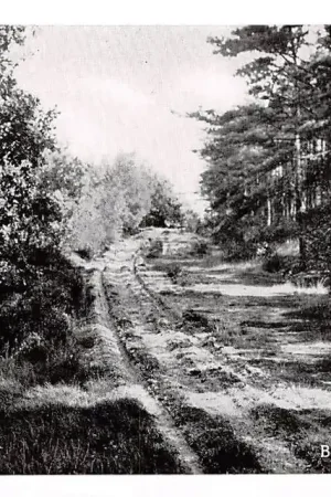 Beekbergen Zonnegloren 1953 Apeldoorn Veluwe HC25398 Tani