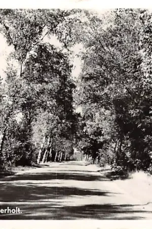 Autentyczny Beekbergen Engelanderholt 1956 Veluwe Apeldoorn HC25386