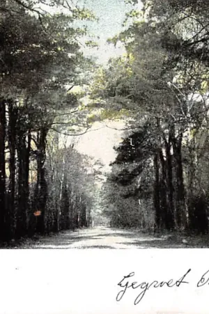 Ostatnia szansa Apeldoorn Amersfoortsche Weg begin 1900 HC24858