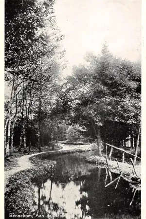 Bennekom Aan de Beek 1954 Veluwe HC25136 Oryginalny