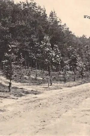 Bezpieczna płatność De Steeg Weg naar 't Asselt 1916 HC25059