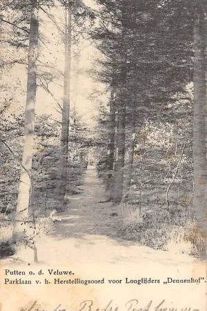 Popularny Putten o.d. Veluwe Parklaan v.h. Herstellingsoord voor Longlijders Dennenhof 1904 HC25001