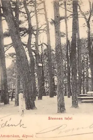 Zwrot pieniędzy Arnhem Steenen Tafel 1902 HC24942