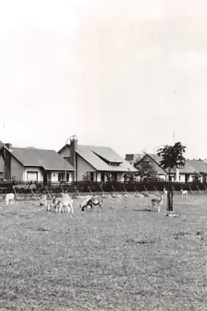 Szybka dostawa Druten Hertenkamp HC24181