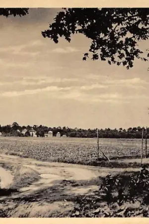 Bezpieczna płatność Vierhouten Plaggeweg 1951 Epe Veluwe HC23708