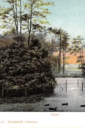 Velp Vijver HC23510 Kup teraz