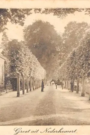 Nederhemert Groet uit 1915 Zaltbommel HC23428 Nowość