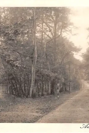 Apeldoorn Amersfoortsche weg 1916 HC23360 Bezpieczna płatność