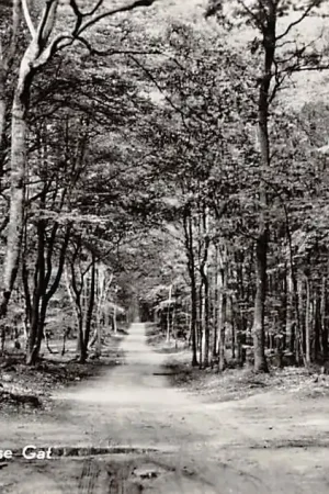 Putten Omgeving Solse Gat 1952 Veluwe HC23269 Niska cena