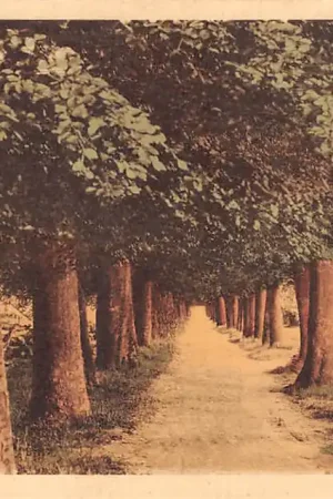 Apeldoorn Koning Lodewijklaan HC19822 Wyprzedaż