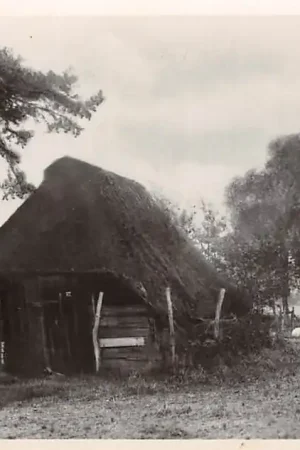 Assel Schaapskooi 1949 Apeldoorn Veluwe HC18530 Ostatnia szansa