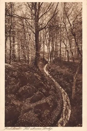 Hulshorst Het zilveren Beekje Veluwe 1932 HC18629 Premium