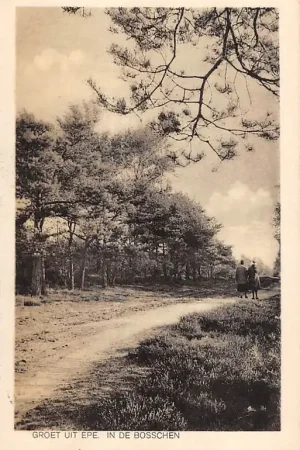 Epe Groet uit 1933 In de Bosschen Veluwe HC18626 Kup teraz