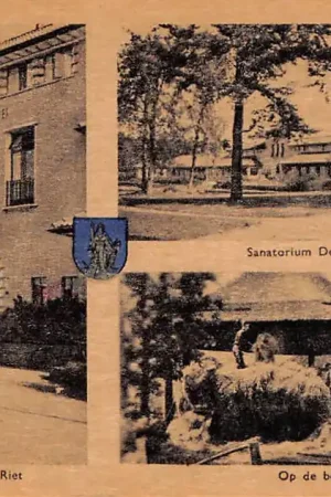 Ermelo Sanatorium De Hooge Riet 1947 Veluwe HC18341 Najlepsza cena