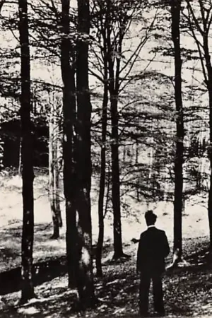 Putten Veluwe Het Solsche gat HC17761 Autentyczny