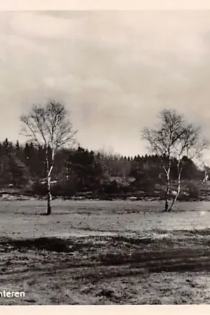 Oryginalny Lunteren Bosch- en Heidezicht 1949 HC17712