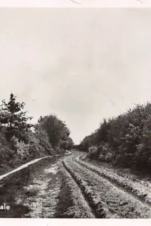 Aalten Holle weg in Dale 1954 HC17234 Tani