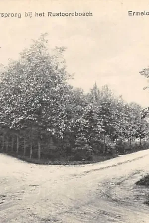 Ermelo Viersprong bij het Rustoordbosch 1931 Veluwe HC17195 Darmowa dostawa