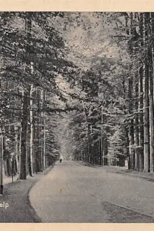 Szybka dostawa Velp Middachter Allee 1952 HC16117