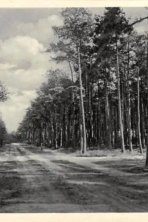 Zamów teraz Putten Hendrikweg 1949 HC16048