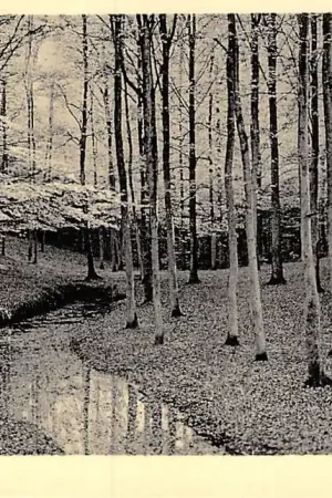 Putten Het Solsche Gat Veluwe HC16038 Nowość