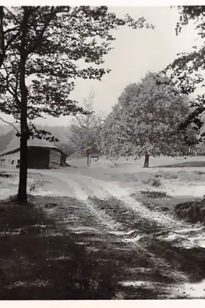 Ekspresowa dostawa Elspeet Schaapskooi 1947 Veluwe HC15962