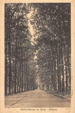 Wyprzedaż Ellecom Middellaan de Steeg HC15934