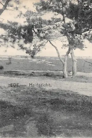 Autentyczny Ede Heidezicht Veluwe HC15886