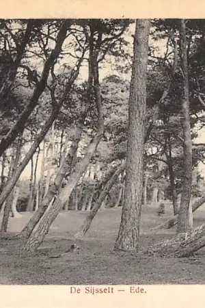 Ede De Sijsselt Veluwe HC15885 Kup teraz