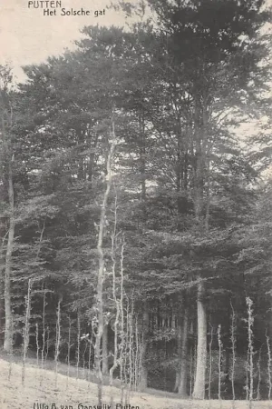 Putten Het Solsche Gat Veluwe HC15978 Oferta limitowana